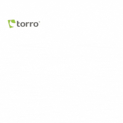 Torro Torro