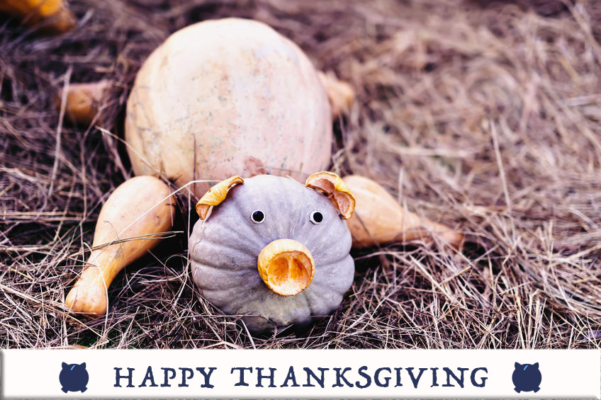 happy thanksgiving